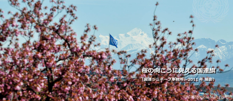 4月カバーフォト　桜の婿に見える国連旗（ジュネーブ、2011年撮影）