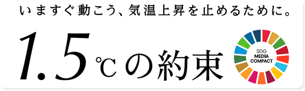 世界の国旗カード 193ヵ国 国名 首都名 ラミネート済 国際連合