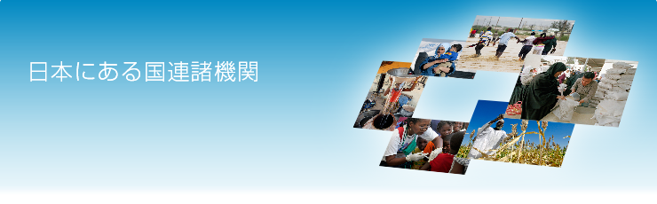 日本にある国連諸機関