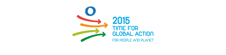 2015年MDGs関連カレンダー