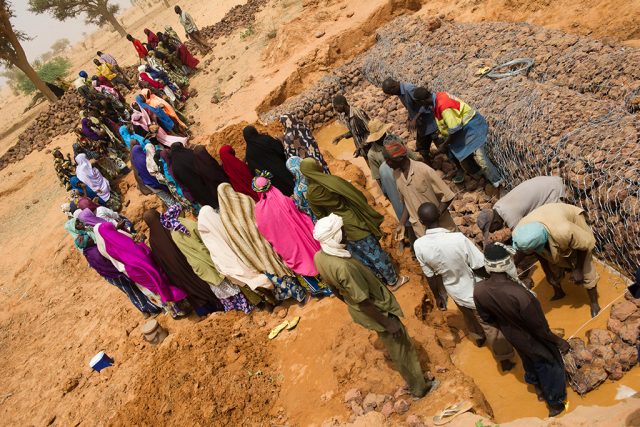 ニジェールでの水の保全は、雨水をより長く貯留することで乾季での利用を目指している©UNHCR/ Rein Skullerud