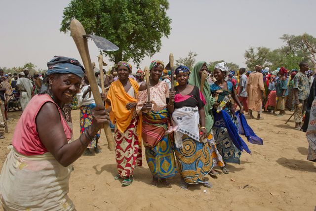 雇用創出・現金報酬プログラムによる植林活動に参加する33人のマリ難民の女性たち©UNHCR/Rein Skullerud 