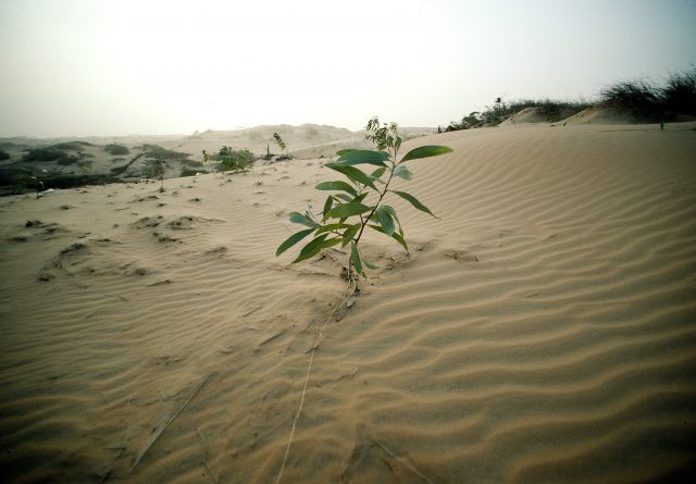 寄稿 砂漠化について考える 日常を非日常にしないために 6月17日は 砂漠化および干ばつと闘う国際デーです 国連広報センター