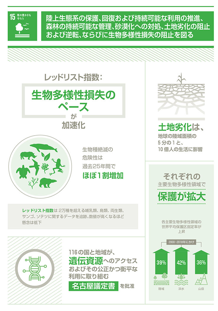 15.緑の豊かさも守ろう「陸上生態系の保護、回復および持続可能な利用の推進、森林の持続可能な管理、砂漠化への対処、土地劣化の阻止および逆転、ならびに生物多様性損失の阻止を図る」