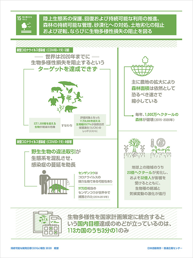 15.緑の豊かさも守ろう「陸上生態系の保護、回復および持続可能な利用の推進、森林の持続可能な管理、砂漠化への対処、土地劣化の阻止および逆転、ならびに生物多様性損失の阻止を図る」