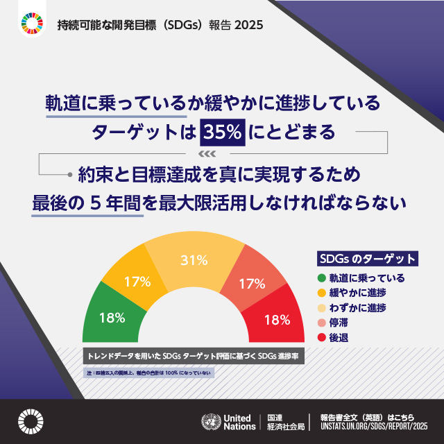軌道に乗っているか緩やかに進捗している ターゲットは35%にとどまる 約束と目標達成を真に実現するため最後の5年間を最大限活用しなければならない