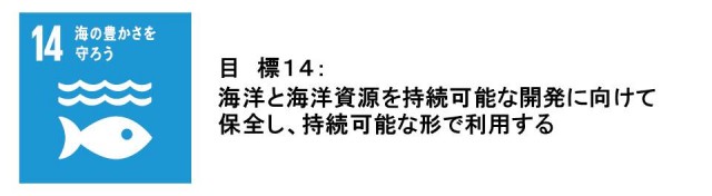 目標14：海の豊かさを守ろう。海洋と海洋資源を持続可能な開発に向けて保全し、持続可能な形で利用する