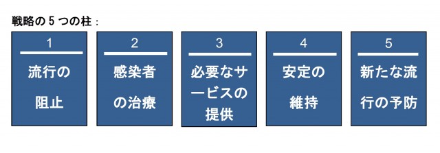 戦略の5つの柱：1流行の防止、2感染者の治療、3必要なサービスの提供、4安定の維持、5新たな流行の予防