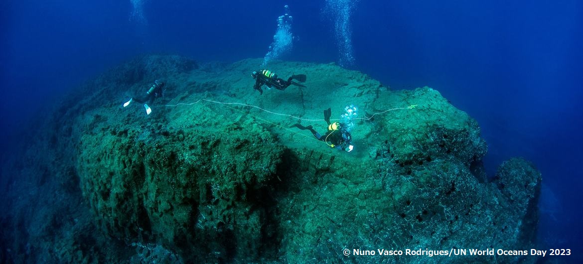 新しい協定は公海における海洋生物多様性を保護します