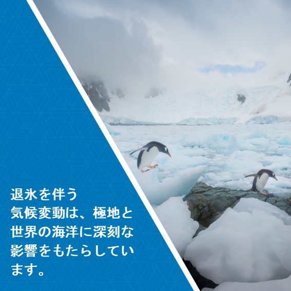 退氷を伴う気候変動は、極地と世界の海洋に深刻な影響をもたらしています。