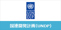 国連開発計画（UNDP）